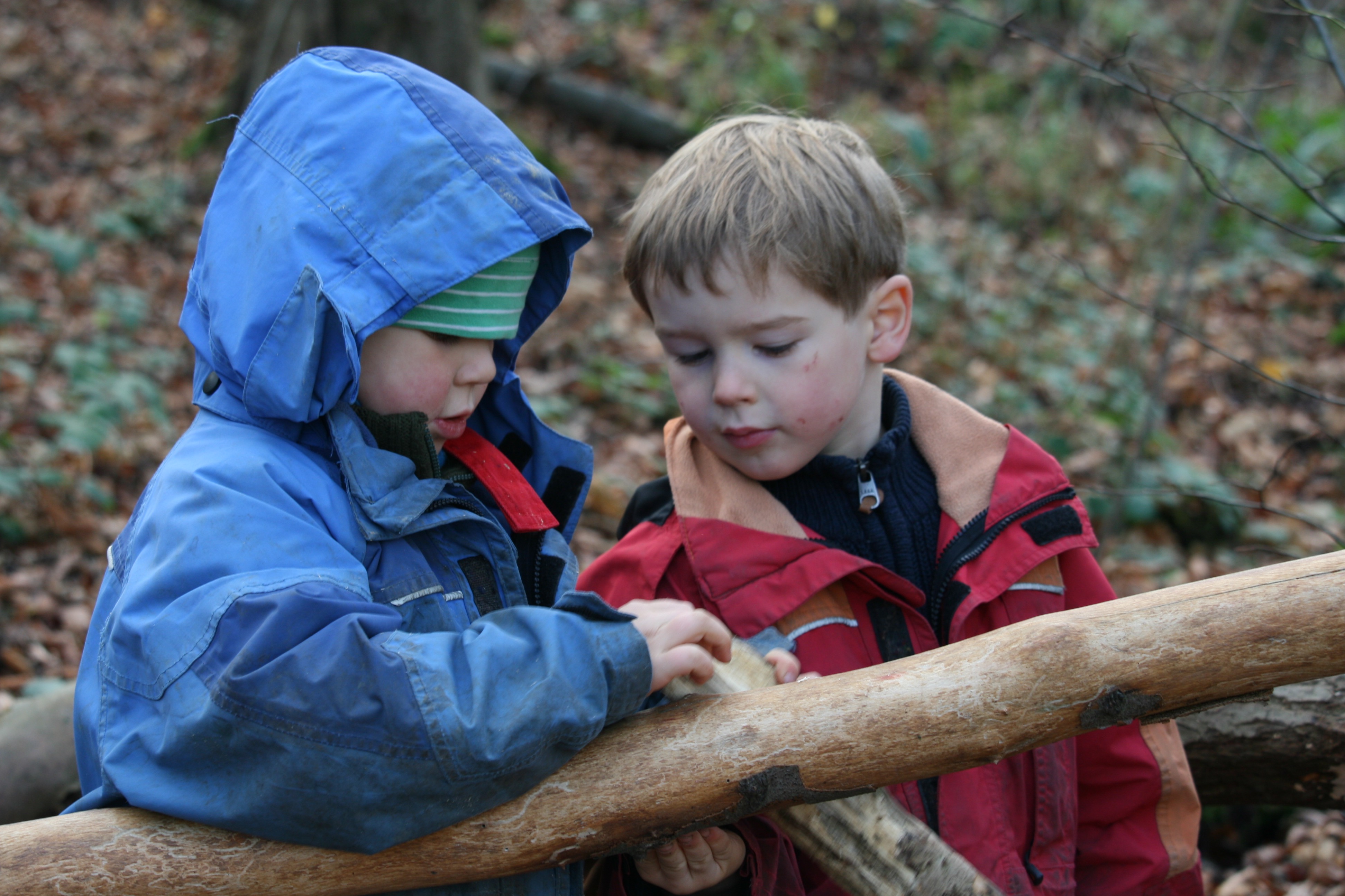Bundesverband der Natur- und Waldkindergärten